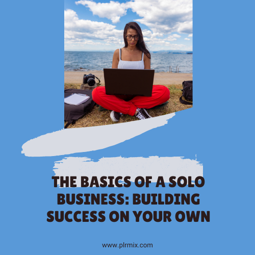 The Basics of a Solo Business: Building Success on Your Own