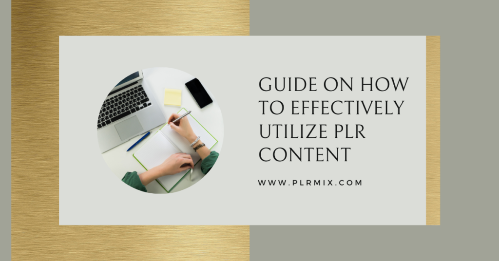 Guide on How to Effectively Utilize PLR Content