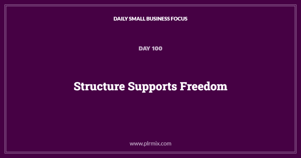 Daily Small Business Focus – Day 100: Structure Supports Freedom